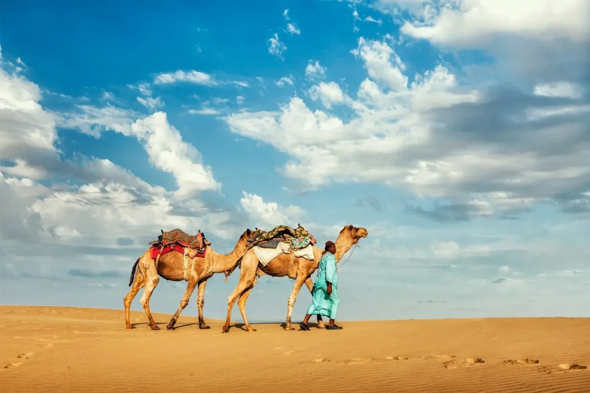 Camels and riders silhouetted against a desert sunset