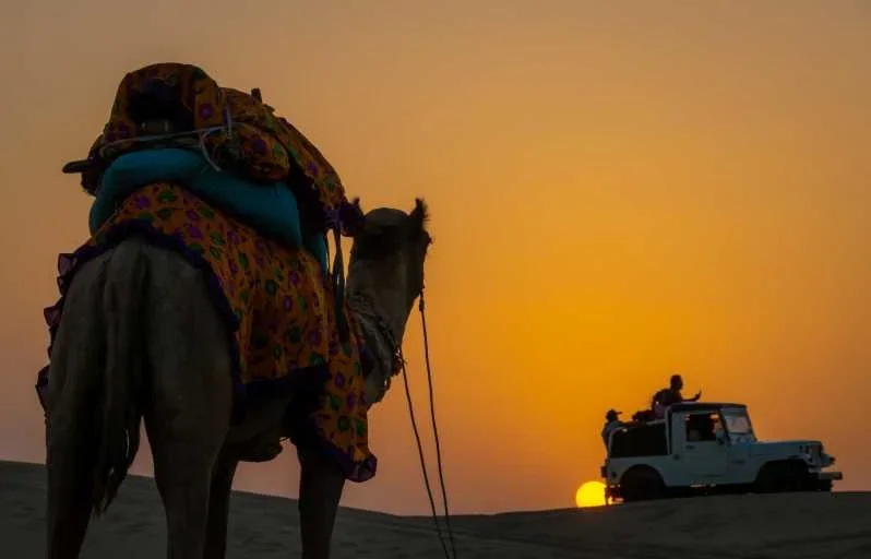 Panoramic camel caravan crossing the dunes