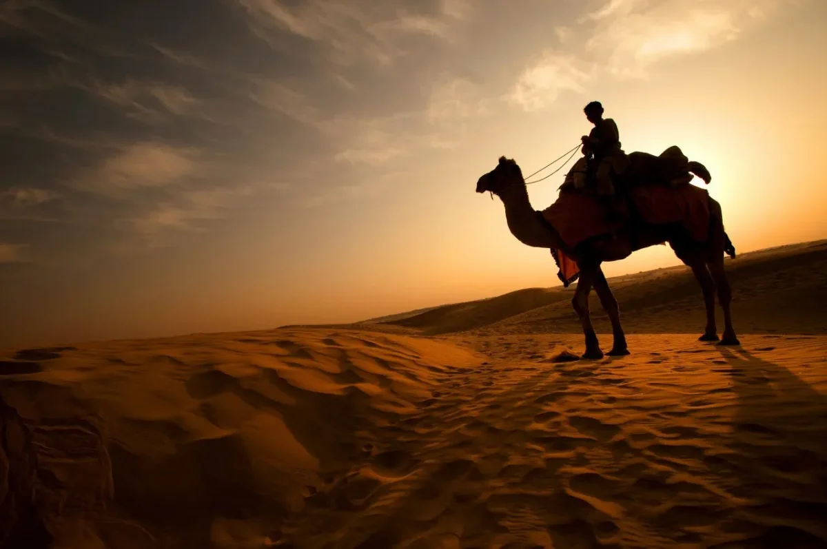 Camel caravan on the dunes with folk dancers performing at dusk